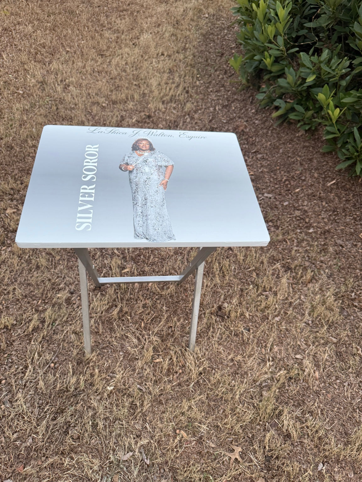Custom TV Tray